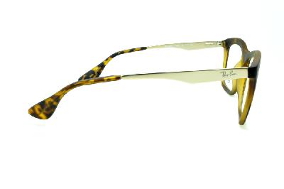 Óculos de grau Ray-Ban acetato tartaruga demi fosco efeito onça e metal monel