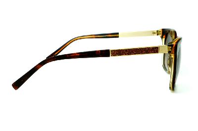 Óculos de Sol Ana Hickmann HI 9198 em acetato marrom café e haste giratória marrom/dourada