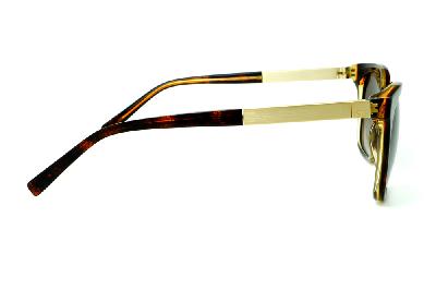 Óculos de Sol Ana Hickmann HI 9198 em acetato marrom café e haste giratória marrom/dourada