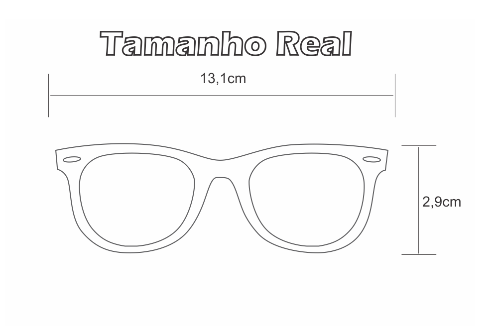 Óculos Ilusion prata modelo parafusado com haste preto e prata