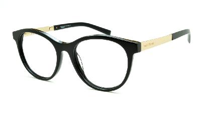Óculos Ana Hickmann em acetato redondo preto com haste dourada para mulheres