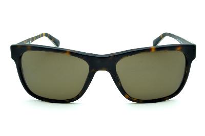 Óculos de sol Emporio Armani acetato demi tartaruga efeito onça para homens e mulheres
